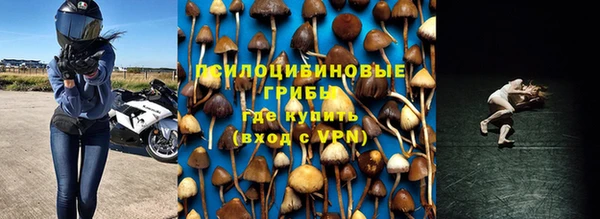 крисы Алзамай