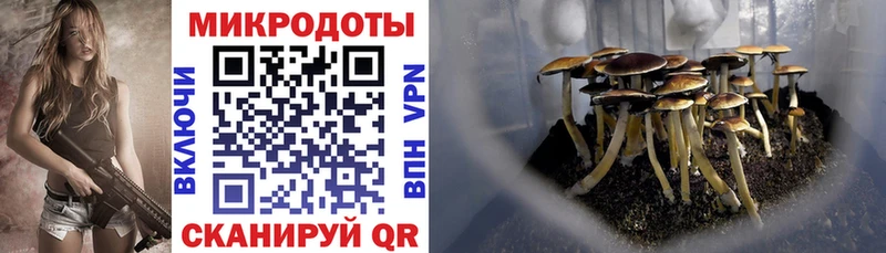 Псилоцибиновые грибы Magic Shrooms  Бердск 