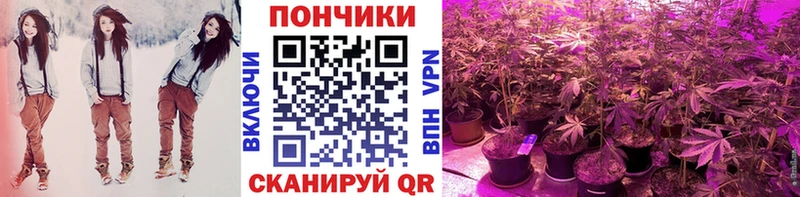 Конопля Ganja  где купить наркотик  МЕГА сайт  Бердск 